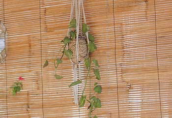 Cheap Bamboo Shades | Atherton