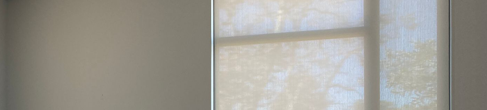 Roller Window Shades in Redwood City